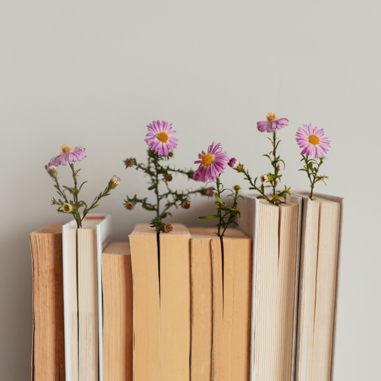 Why We Built WellTold Studio (And Why It’s Different)